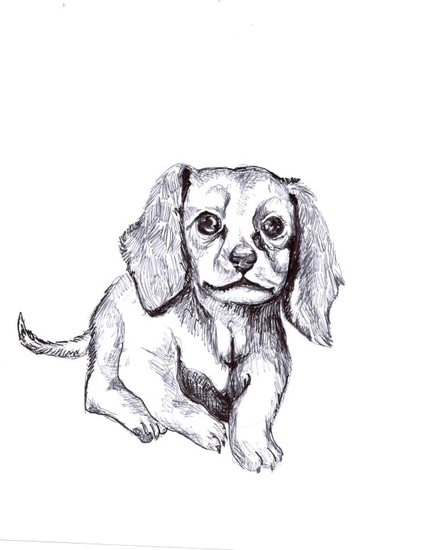 Dogs of Manayunk illustration 3