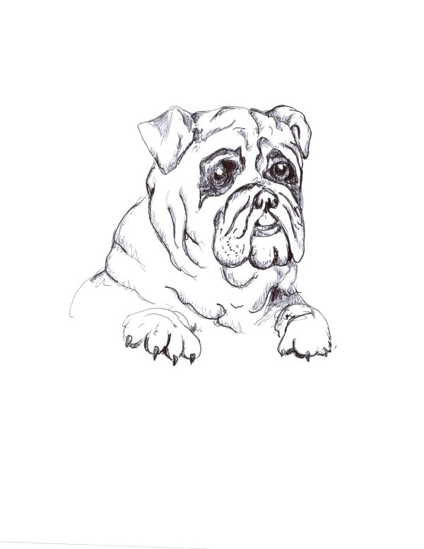 Dogs of Manayunk illustration 12