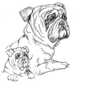 Dogs of Manayunk illustration 14