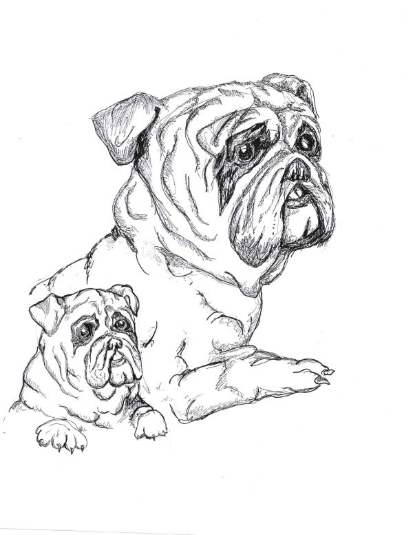 Dogs of Manayunk illustration 14