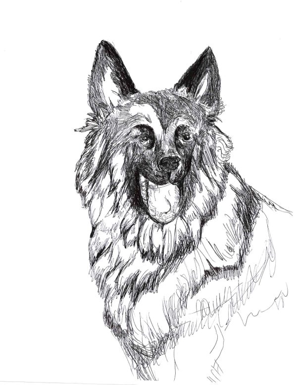 Dogs of Manayunk illustration 16