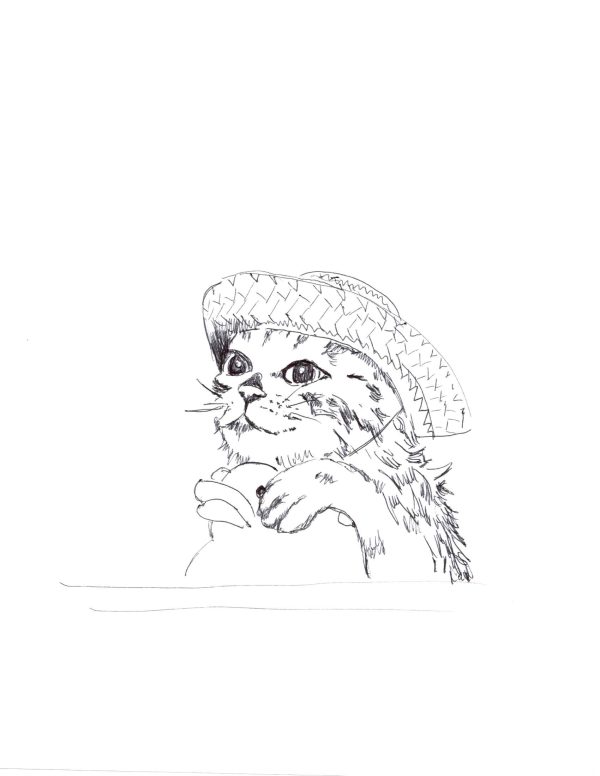 Straw hat cat