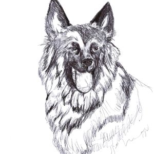 Dogs of Manayunk illustration 15