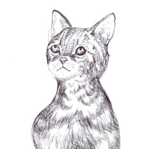 Patch to tabby ponders