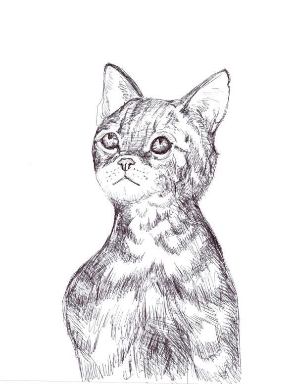 Patch to tabby ponders