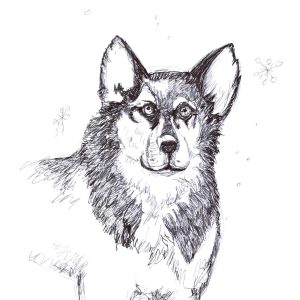 Dogs of Manayunk illustration 17