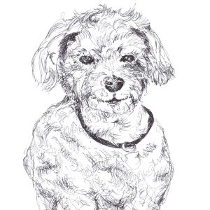 Dogs of Fishtown illustration 22