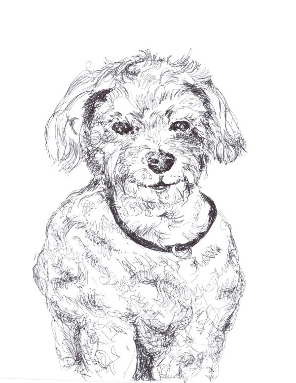 Dogs of Fishtown illustration 22