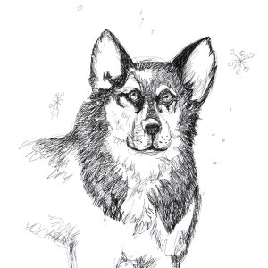 Dogs of Manayunk illustration 18