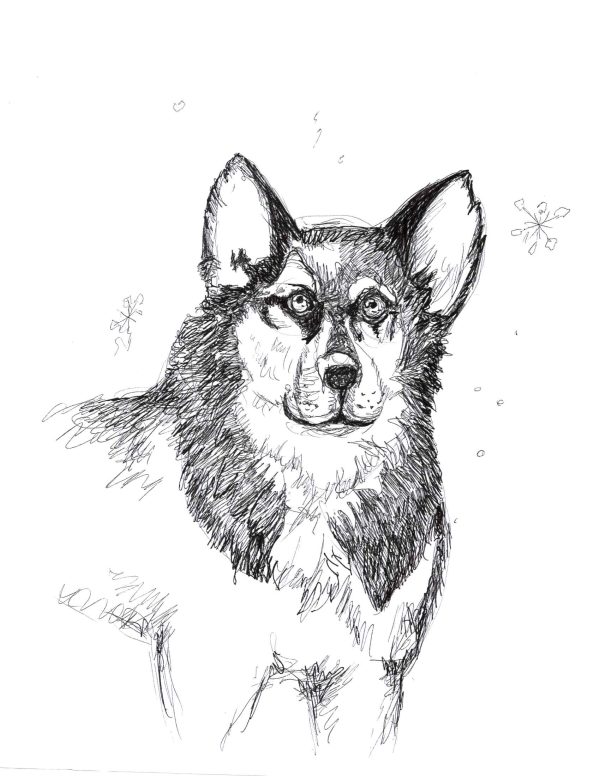 Dogs of Manayunk illustration 18