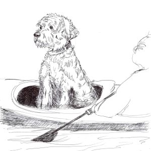 Water dog rider