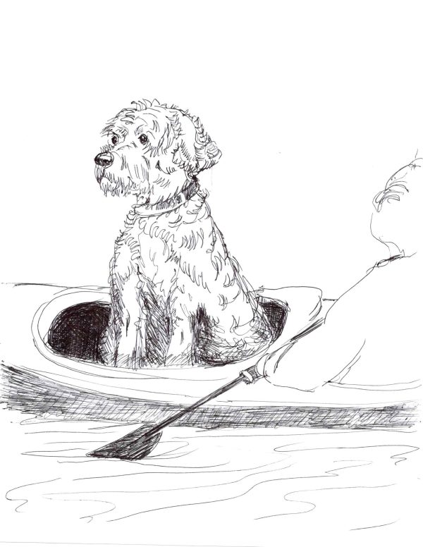 Water dog rider