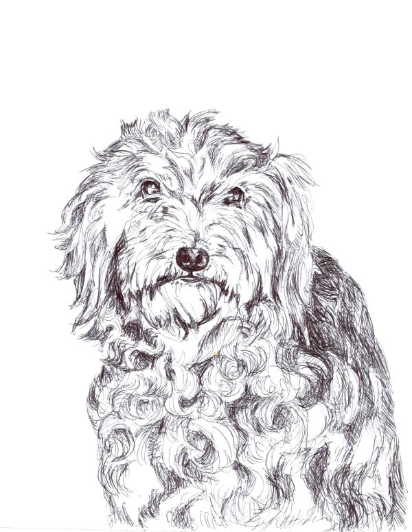 Dogs of Fishtown illustration 23