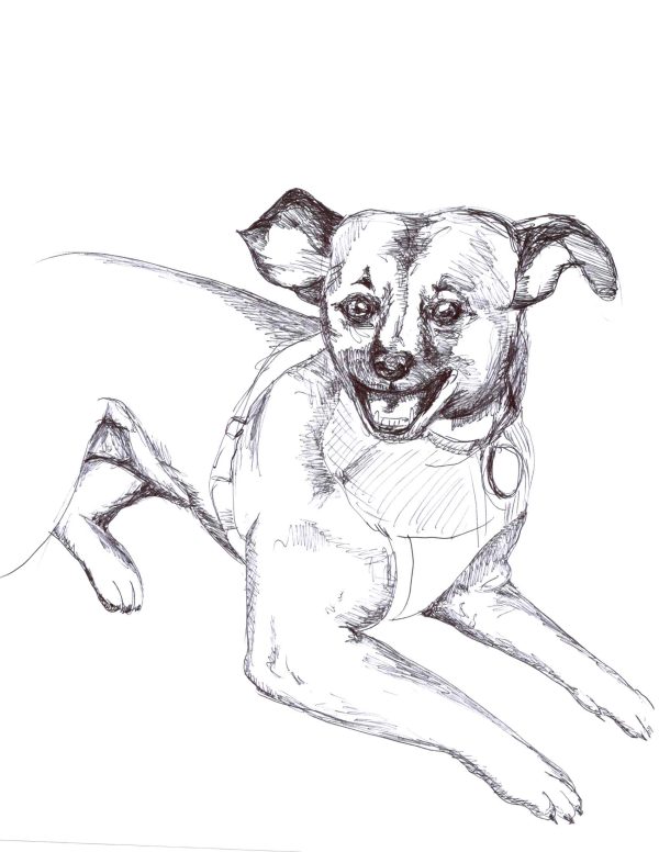Dogs of Manayunk illustration 19