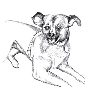 Dogs of Manayunk illustration 20