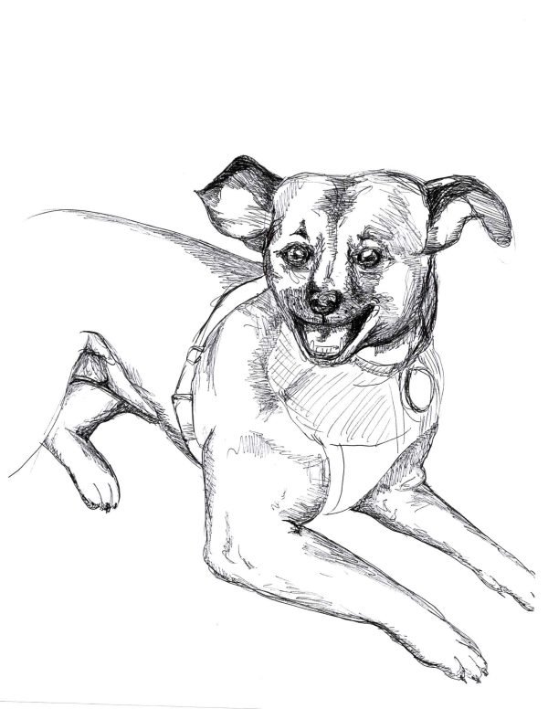 Dogs of Manayunk illustration 20