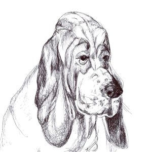 Dogs of Fishtown illustration 25