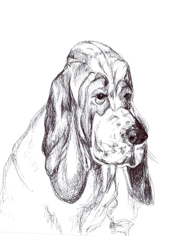 Dogs of Fishtown illustration 25
