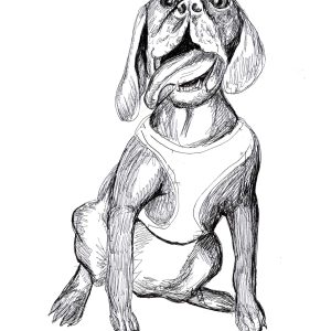 Dogs of Manayunk illustration 21