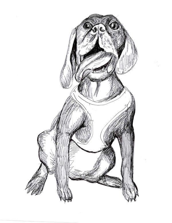 Dogs of Manayunk illustration 21