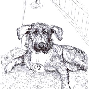 Dogs of Manayunk illustration 4