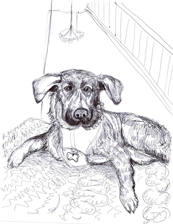 Dogs of Manayunk illustration 4