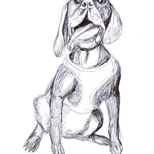 Dogs of Manayunk illustration 22