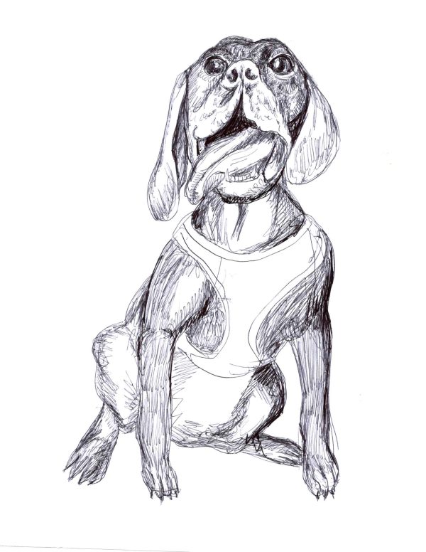 Dogs of Manayunk illustration 22