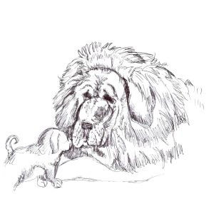 little and lion