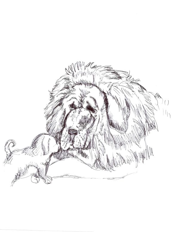 little and lion