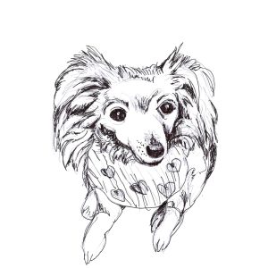 Dogs of Fishtown illustration 27