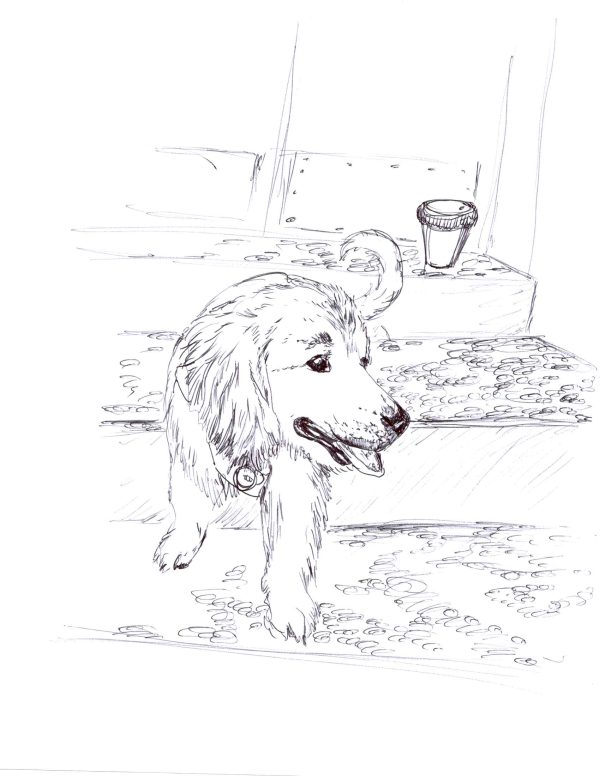 Dogs of Manayunk illustration 23