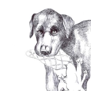 hound squeaker