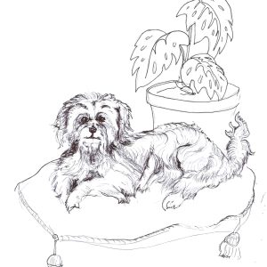 Dogs of Fishtown illustration 28