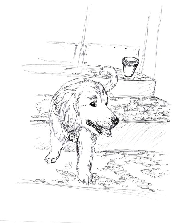 Dogs of Manayunk illustration 24