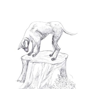 hound haults