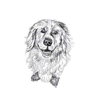 Dogs of Manayunk illustration 25