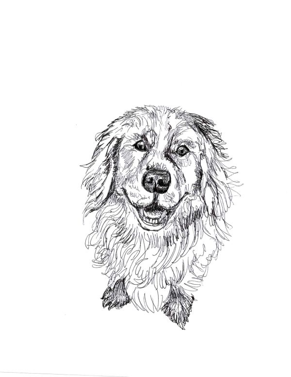 Dogs of Manayunk illustration 25
