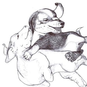 Dogs of Fishtown illustration 29