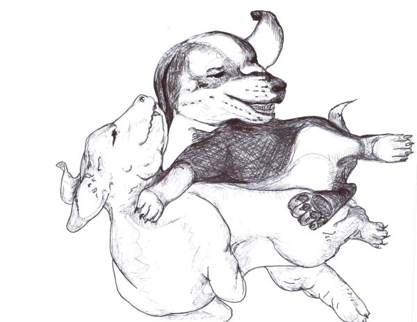 Dogs of Fishtown illustration 29