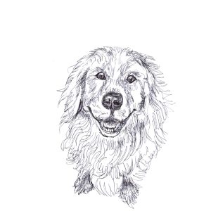 Dogs of Manayunk illustration 26