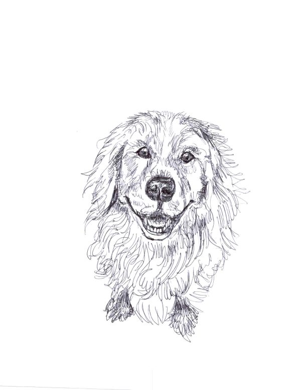 Dogs of Manayunk illustration 26