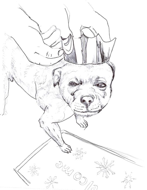 Dogs of Fishtown illustration 30
