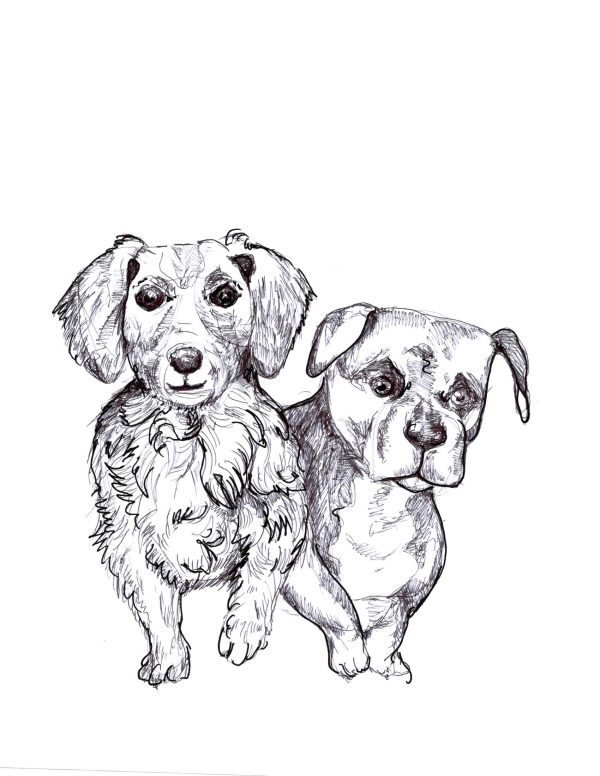 Dogs of Manayunk illustration 27