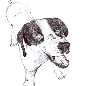 Dogs of Fishtown illustration 32