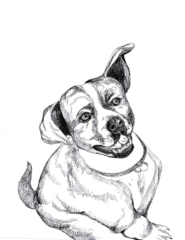 Dogs of Manayunk illustration 29