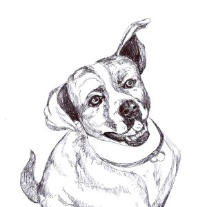 Dogs of Manayunk illustration 30