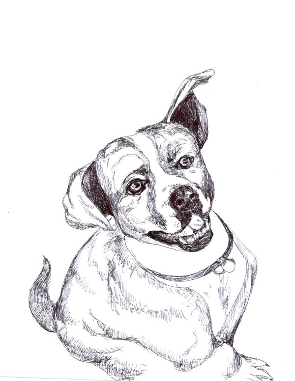 Dogs of Manayunk illustration 30