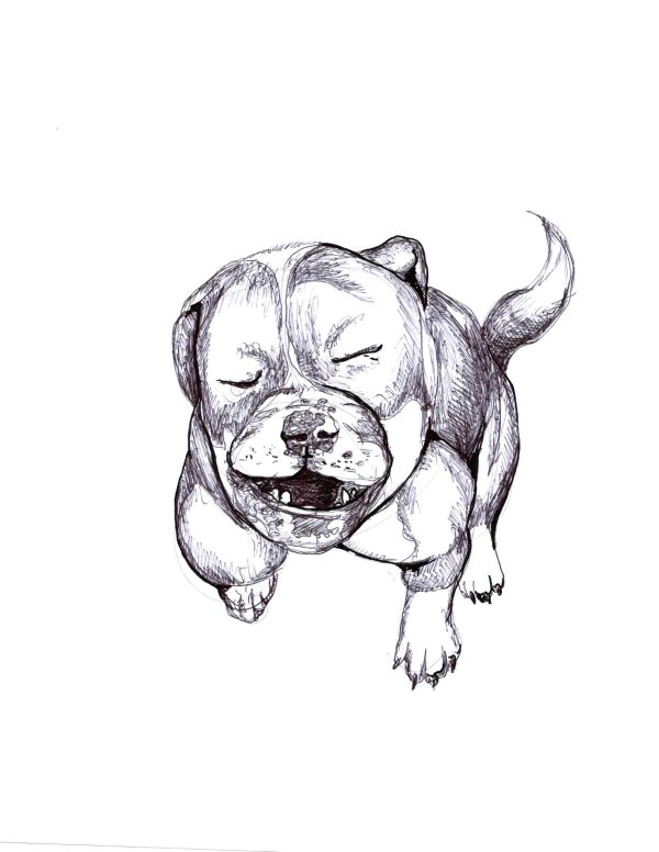 Dogs of Manayunk illustration 31