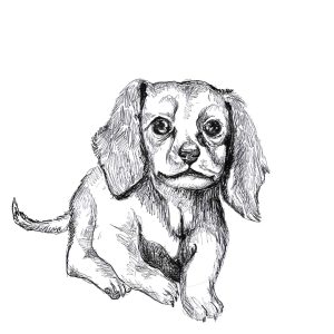 Dogs of Manayunk illustration 5